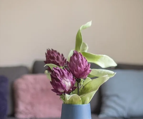 Apartament Koszykowa Exquisite *